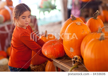 Cute Girl Choosing A Pumpkin 8438606