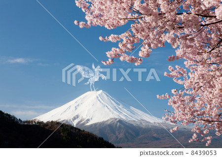 Mount Fuji and Pegasus 8439053