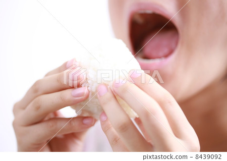 rice ball rice ball 8439092