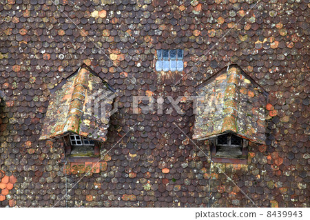 Old brown tile roof with dormer Old brown tile roof with dormer 8439943