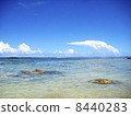 The beach of Guam 8440283