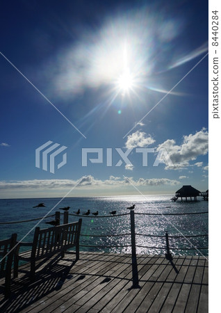 Pier on Tahiti ③ 8440284