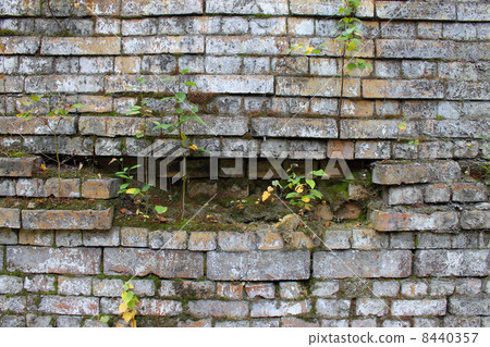 Grunge background Grunge background 8440357