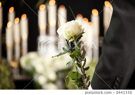 Grief - man with white roses at urn funeral 8441338
