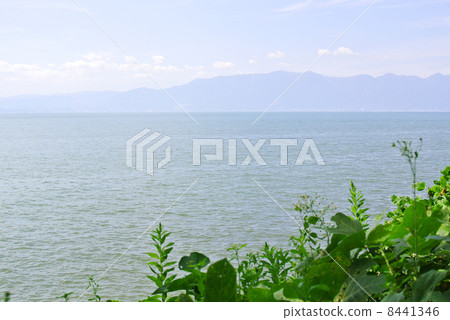 Green和Biwako 01 Green和Biwako 01 8441346