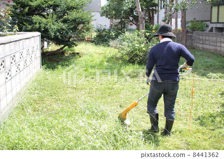 Back view of a middle-aged woman mowing the garden with a household electric lawnmower 8441362