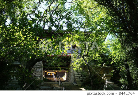 Ikuishi Shrine 8441764