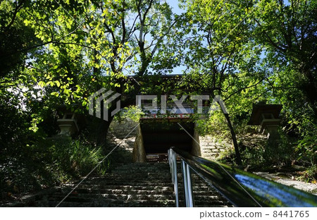 Ikuishi Shrine Ikuishi Shrine 8441765