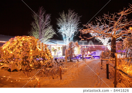 雪和燈飾 8441826