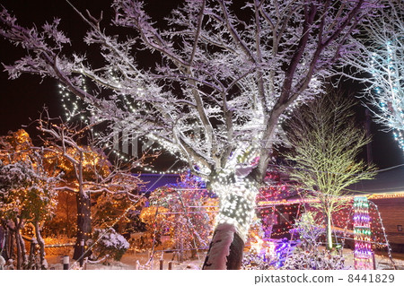 雪和燈飾 8441829