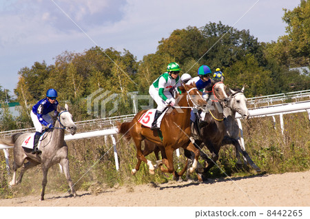 Horse racing in Pyatigorsk. Horse racing in Pyatigorsk. 8442265
