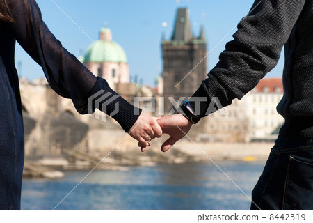 Close up shot of a couple holding hands 8442319
