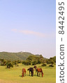 野馬 8442495