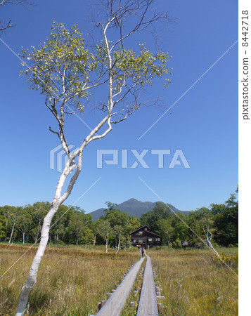 Ozegahara Ryugu 8442718