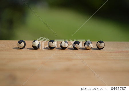 A line of bunko lined up 8442787