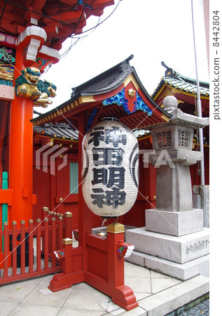 神田肌球蛋白 8442804