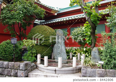 神田肌球蛋白 8442806