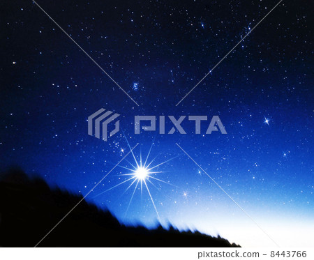 晨星 晨星 8443766