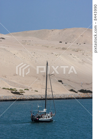 Suez Canal 8443990