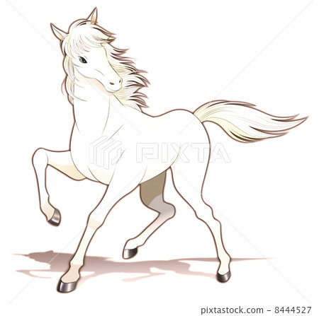 White horse · white background White horse · white background 8444527