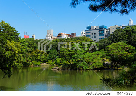 在Rokugien的一個池塘,藍天蔓延,周圍的綠色 在Rokugien的一個池塘,藍天蔓延,周圍的綠色 8444583