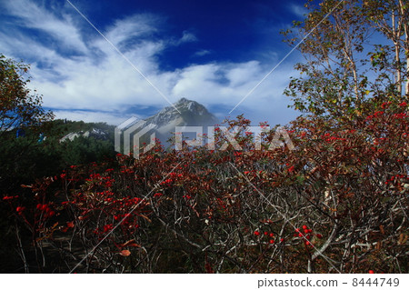 秋天的Mt. Momiya 秋天的Mt. Momiya 8444749