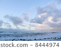 冬天的日本海 8444974