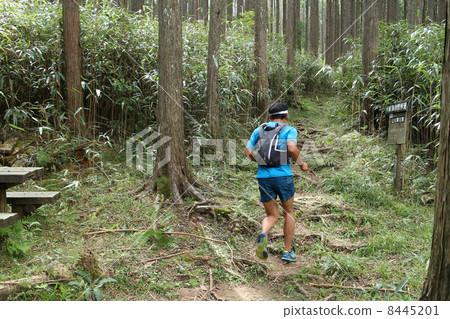 Trail running 8445201