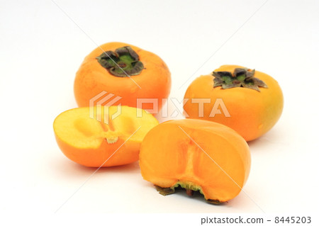 persimmon 8445203