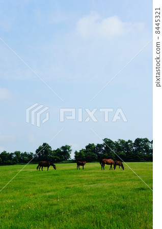 Idyllic scenery Idyllic scenery 8445321