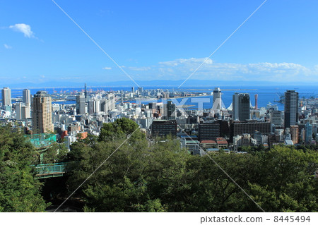 Venus Bridge 8445494