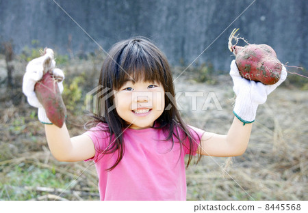 Girls digging potatoes Girls digging potatoes 8445568