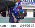 黑馬 8445615