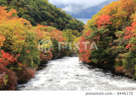 Ryūzu瀑布 8446178