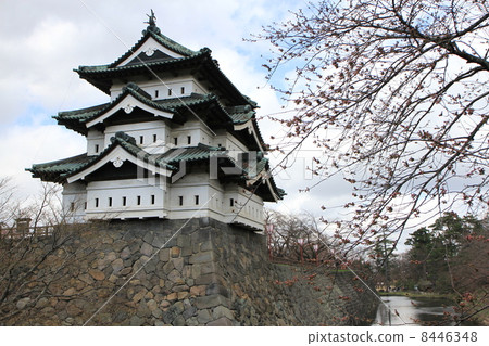 弘前城堡 8446348