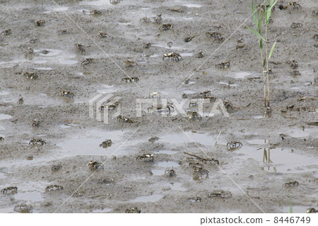 大和產經 8446749