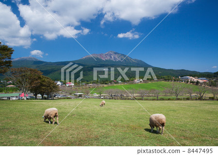 Takachiho ranch in autumn 8447495