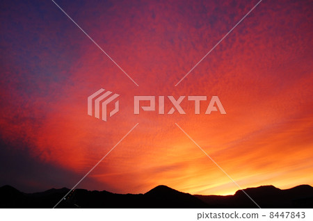 札幌的夜景 8447843