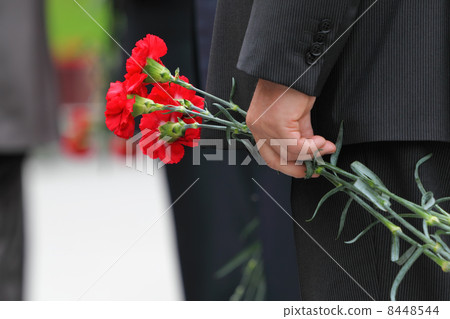 Bouquet of red carnations in man hand at Victory Day celebration 8448544
