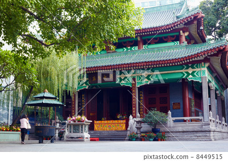 The Temple of Six Banyan (Ficus) Trees or Liu Rong Temple. 8449515