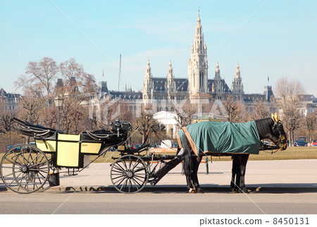 Two horses in cape with open cart near Wiener Rathaus in Vienna, Austria Two horses in cape with open cart near Wiener Rathaus in Vienna, Austria 8450131