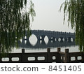 石橋 8451405