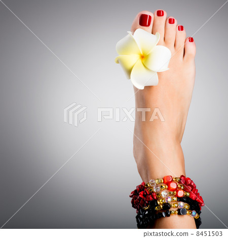 Beautiful female feet with red pedicure 8451503