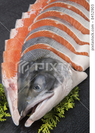 salmon  8452903