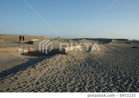 Nakadashima沙丘（靜岡縣） 8453235