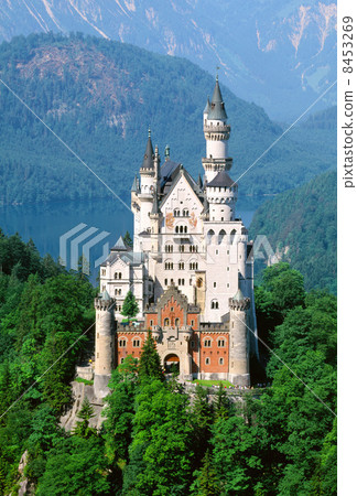 新天鵝堡 8453269