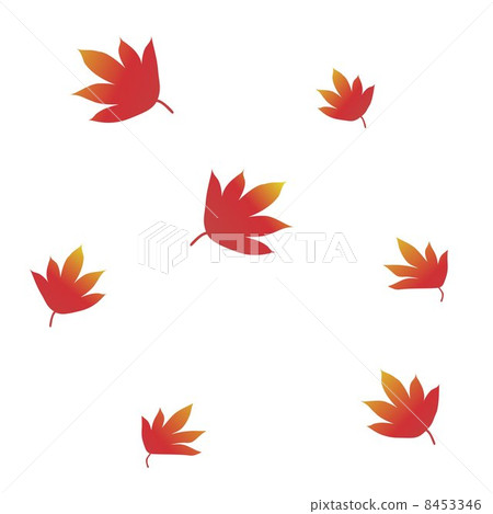 Maple Maple 8453346