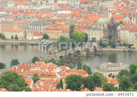 查理大橋 8453971