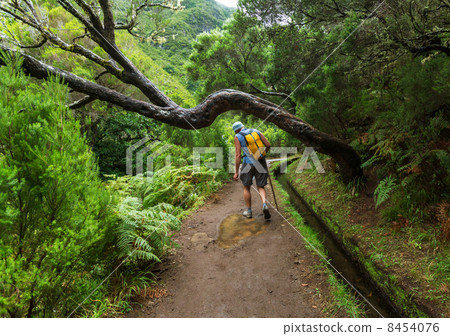Hike in Madeira Hike in Madeira 8454076