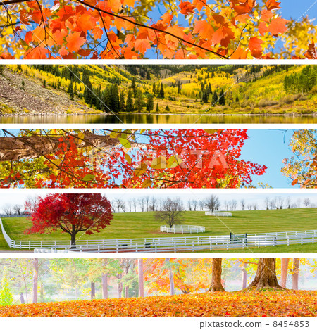 Autumn Collage with 5 different pictures banners.  8454853